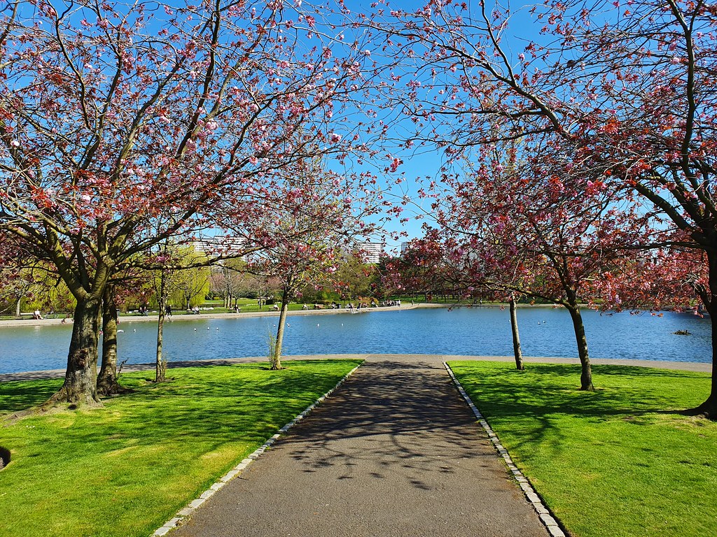 Victoria Park Image